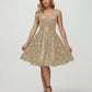 Straps V Neck Velvet Sequin A Line Homecoming Dresses